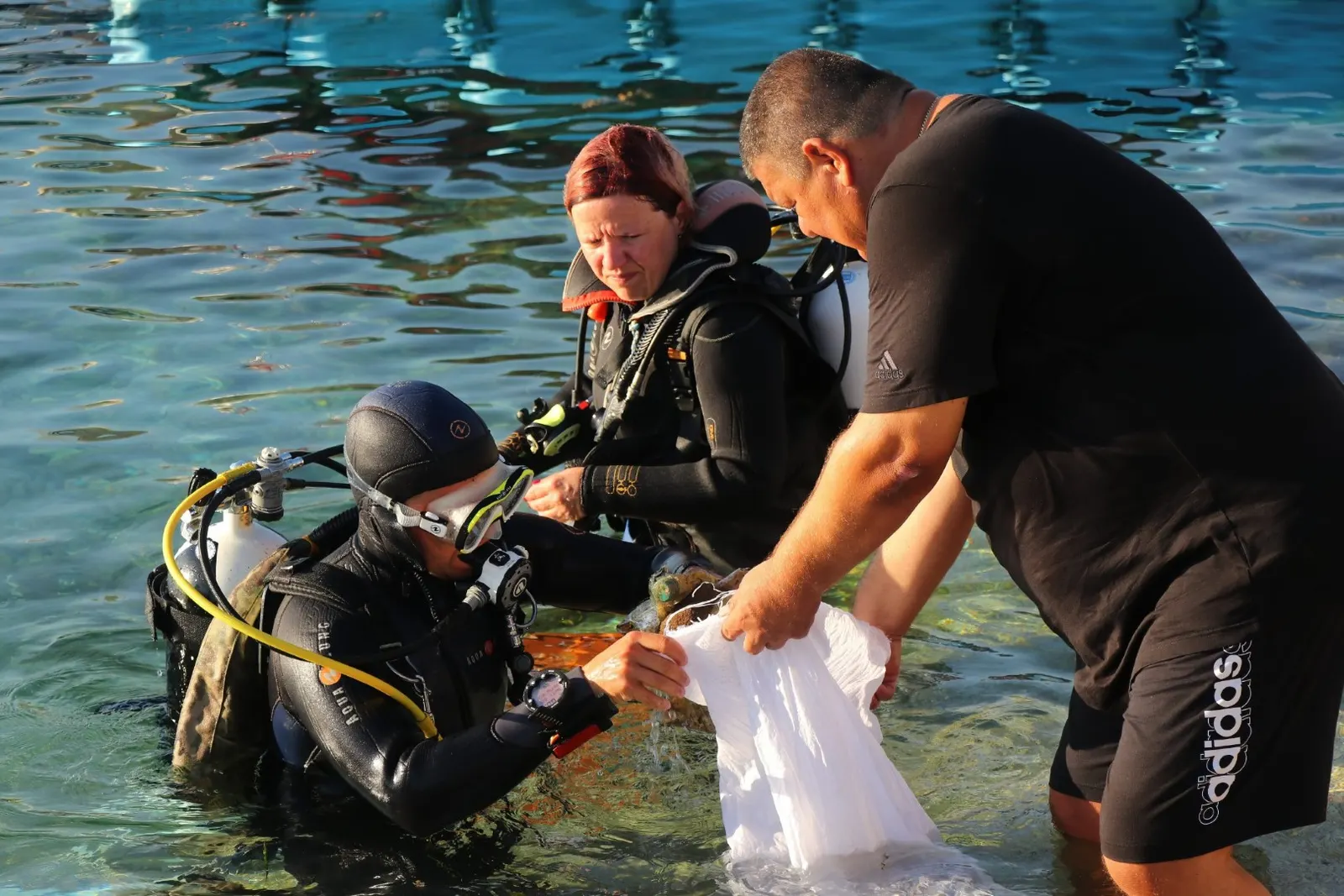 A Clean Little Bays seabed cleanup on Pag