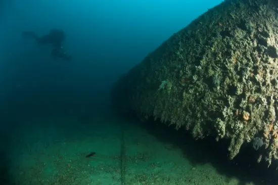 Diving with Foka in the waters off the island of Pag, photo 11