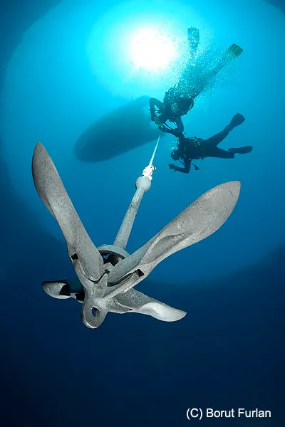 Diving with Foka in the waters off the island of Pag, photo 15