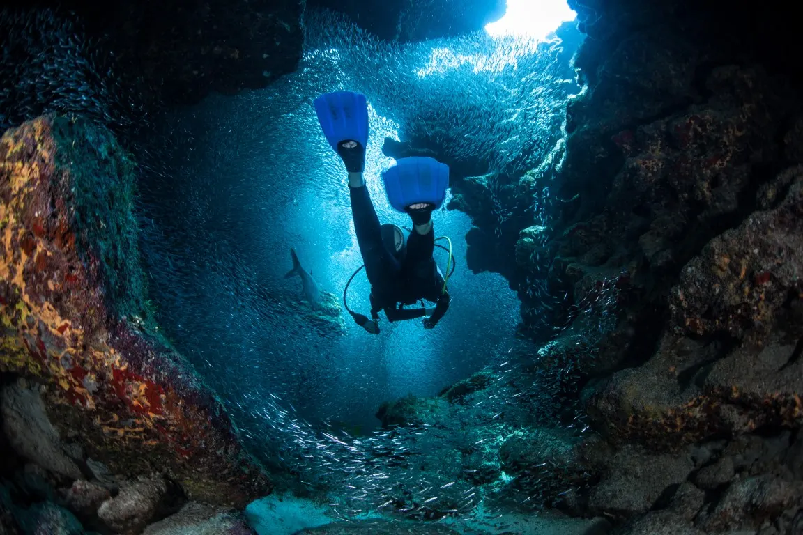 Diving with Foka in the waters off the island of Pag, photo 4