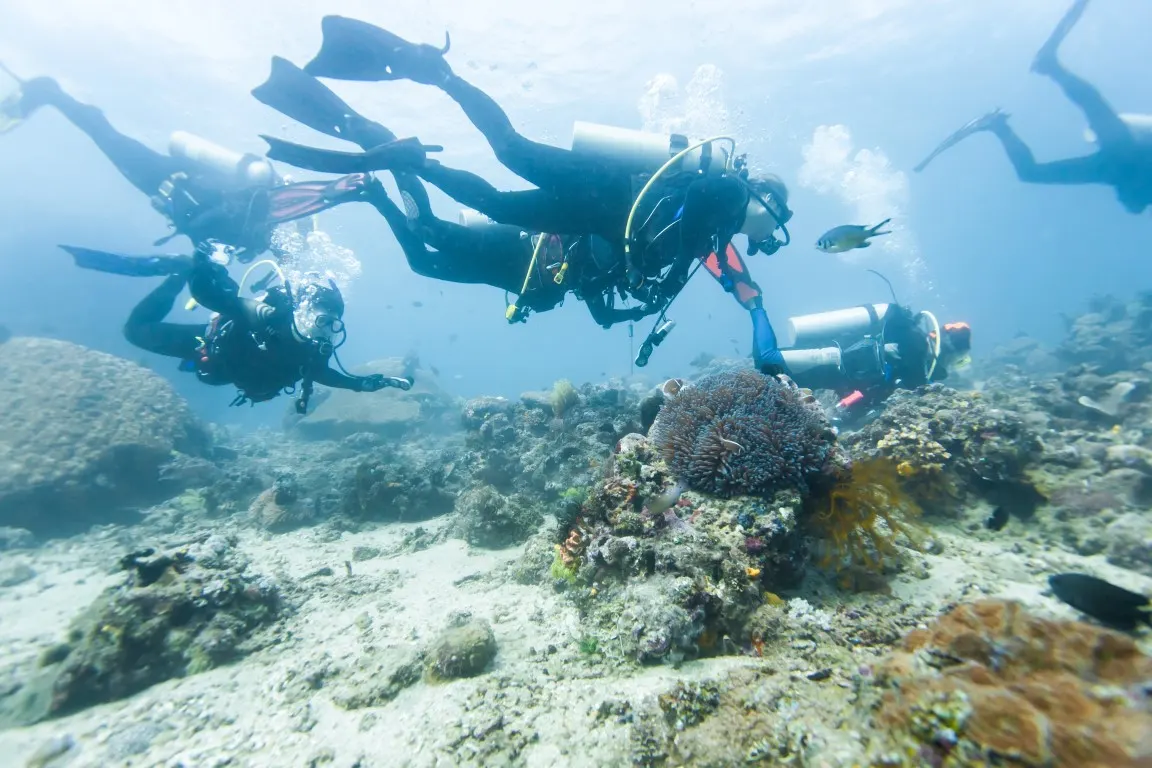Diving with Foka in the waters off the island of Pag, photo 6