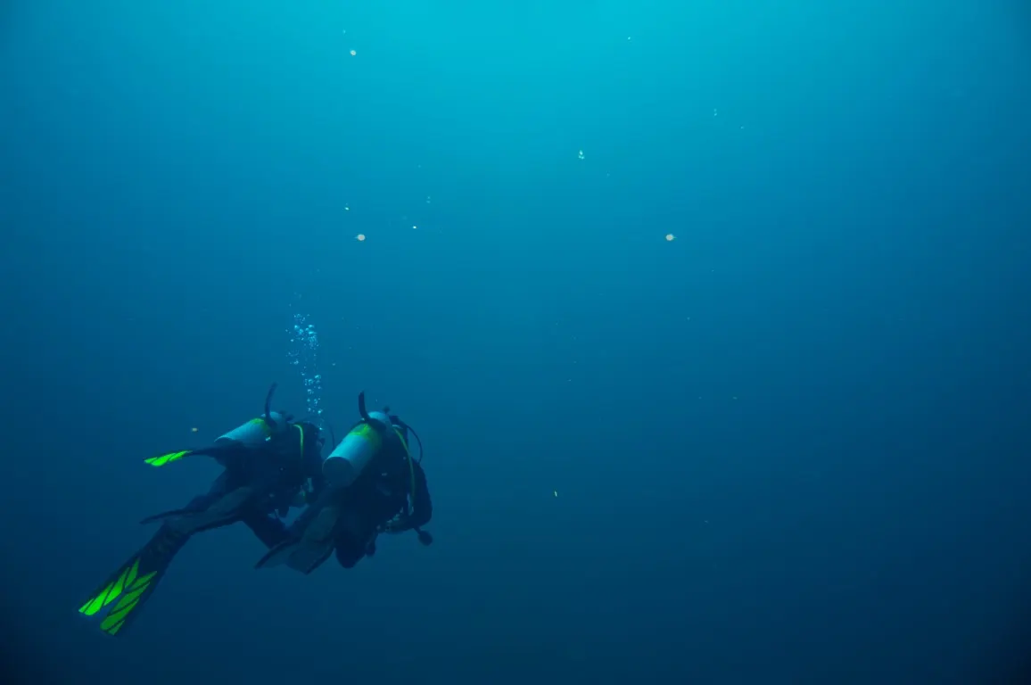 Diving with Foka in the waters off the island of Pag, photo 8