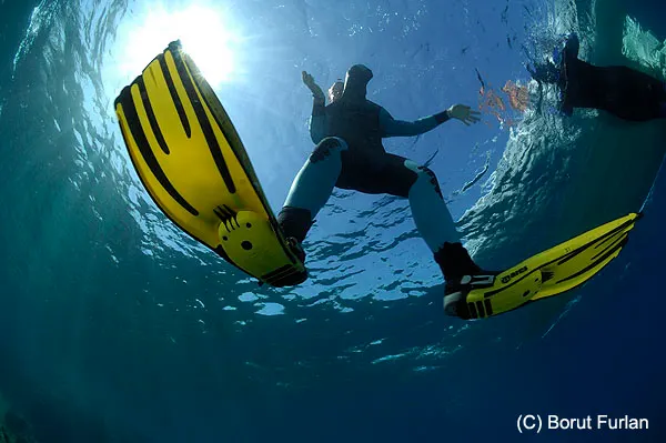 Diving in the waters off the island of Pag