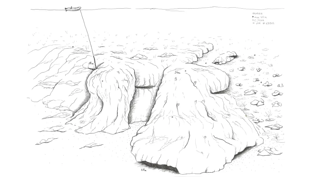 Site map of the Letavica amphora field