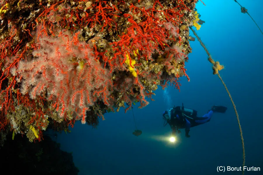 Mandre dive site, Pag