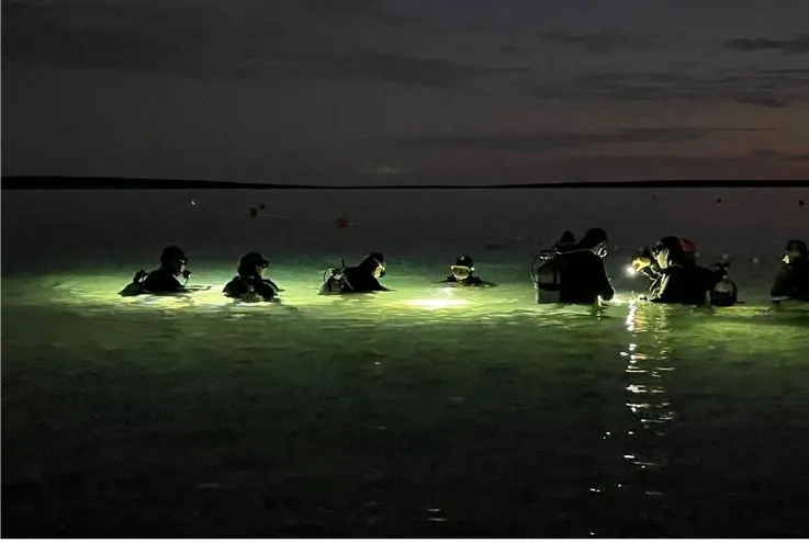 Night dive dive site, Pag