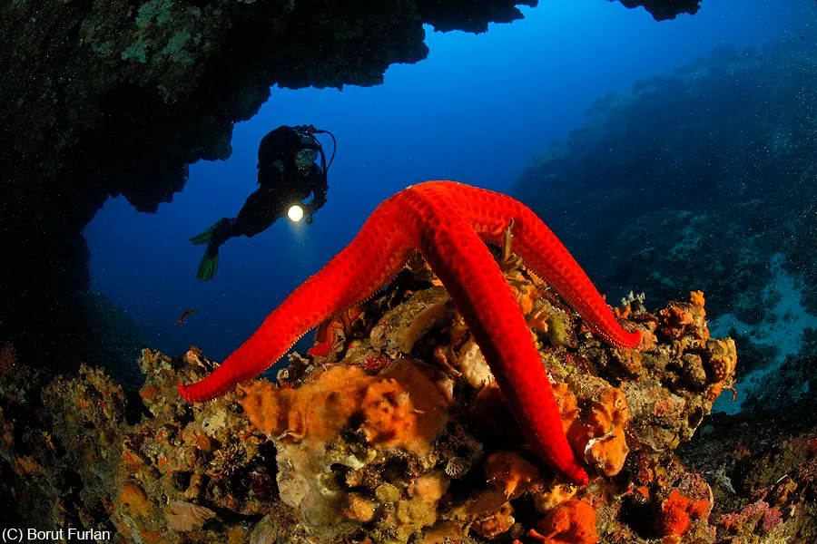 Pohlib dive site, Pag