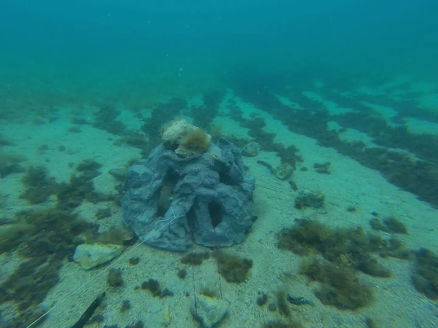 An installed recycled reef on the sandy seabed off Šimuni