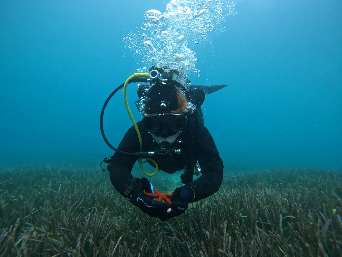 The Foka Diving Center team on the island of Pag, photo 9