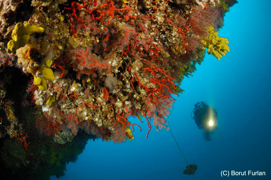 Ledenik dive site, Pag